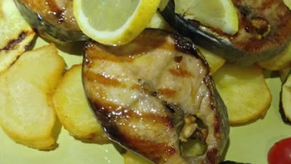 Palamida Bonito fish